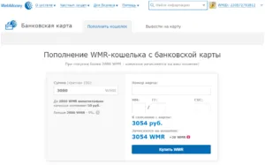 Cum să alimenteze WebMoney pungă cu viza card virtual