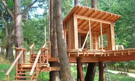 Cum de a construi o casă pe un (peisaj de design) copac 1 Cum de a construi o casă pe un copac 1
