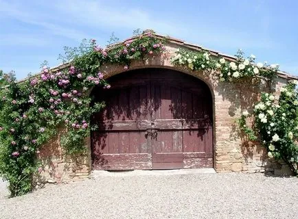 Cum de a construi un garaj pe un teren de tipuri de structuri și materiale, casa de vis (cum să faci o gaură de vizualizare în garaj) Cum de a construi un garaj pe un teren de tipuri de structuri și materiale, casa de vis