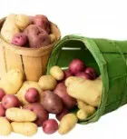 Cum să piardă în greutate timp de 1 zi pe 1 kg cu dieta și descărcare de zile