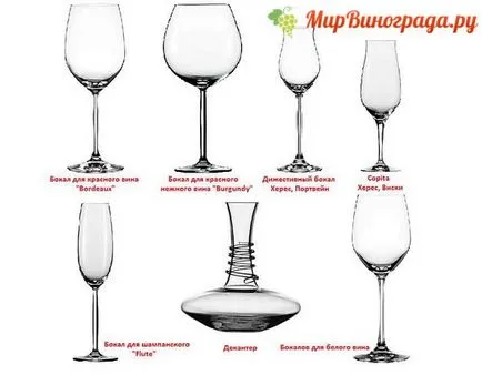 Cum de a bea roșu eticheta de băut vin de vin (vin) Cum de a bea vin vin roșu eticheta de băut