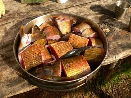 Cum de a găti Grayling - rețete de la pescari reali