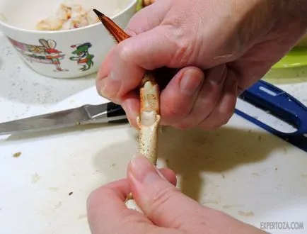 Cum de a găti crab, expertoza