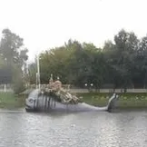 Cum sa faci o prima impresie pe tipul (fiica să crească) Cum sa faci o prima impresie pe tipul