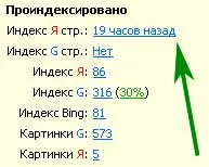 Cum să verificați site-ul de indexare și pagini în Yandex și Google
