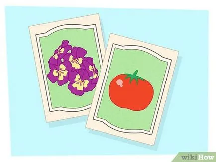 Cum de a multiplica plantele