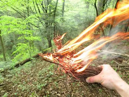 Cum se aprinde un pas foc cu instrucțiuni pas (în pădure) Cum se aprinde un pas foc cu pas