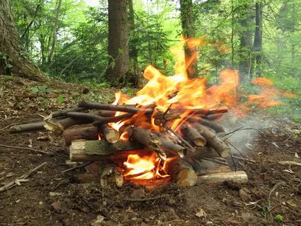 Cum se aprinde un pas foc cu instrucțiuni pas (în pădure) Cum se aprinde un pas foc cu pas