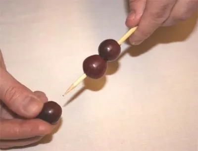 master-class de fructe
