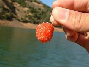 Cum de a face must de pescuit de la grișul în casă (de pescuit) Cum de a face must de pescuit de la grișul în casă