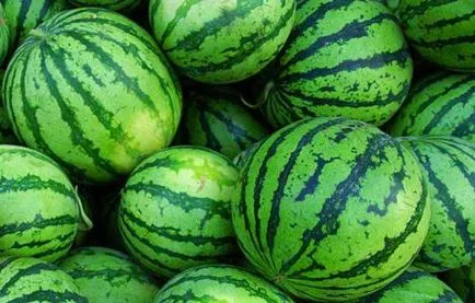 Cum de a planta pepeni verzi - sfaturi pentru o recoltă bună