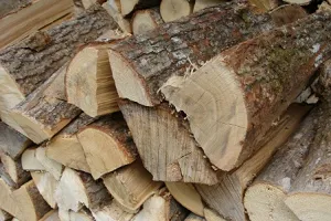 Cum sa faci o afumătoare pentru casa din butoiul cu mâinile