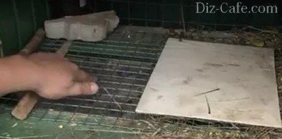 Cum de a face propriile mâini rabbitry și planificare unitate