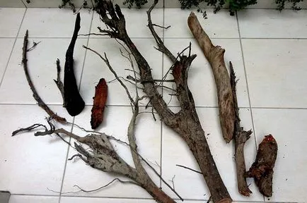 Cum sa faci un inconvenient pentru acvariu cu propriile lor mâini (Driftwood pentru acvariu) Cum sa faci un inconvenient pentru acvariu cu propriile lor mâini