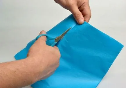 Cum de a face POM-POMS făcute din hârtie pas cu pas, cu propriile lor mâini (de a face) Cum de a face POM-POMS a făcut din hârtie pas cu pas, cu propriile lor mâini