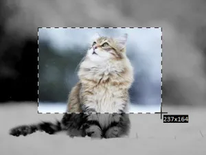 Cum să ia o captură de ecran a ecranului computerului (a face) Cum să ia o captură de ecran a ecranului computerului