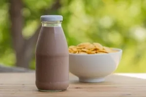 Cum de a găti pudra de cacao pentru lapte și apă, - rețete de gătit