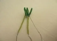 Cactus șirag de mărgele