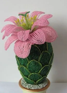 Cactus șirag de mărgele