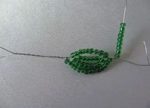 Cactus șirag de mărgele