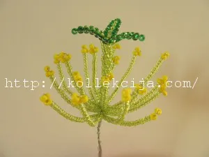 Cactus șirag de mărgele cu mâinile lor, cu propriile lor mâini - Magazine Online (cactus) Cactus șirag de mărgele cu mâinile lor, cu propriile lor mâini - Magazine Online