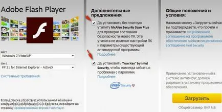 Cum de a elimina Flash Player (Adobe Flash Player) complet de pe computer