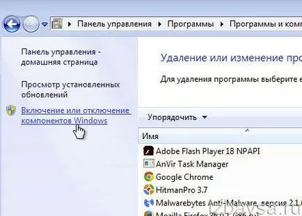 Cum să eliminați Internet Explorer (7, 8, 10 sau 11) din computer în întregime (șterge) Cum să eliminați Internet Explorer (7, 8, 10 sau 11), cu computerul complet