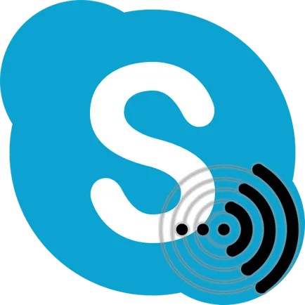 Cum de a elimina un ecou în Skype (producător placă de sunet) Cum de a elimina un ecou în Skype