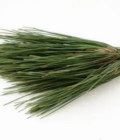 Ce fel de rostopască de plante