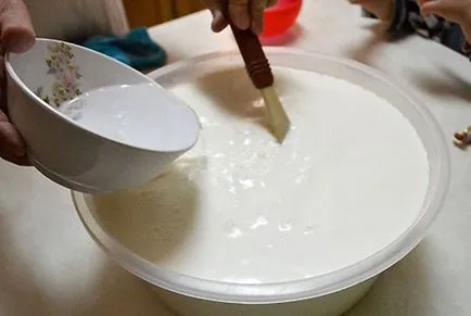 Ce este Rennet