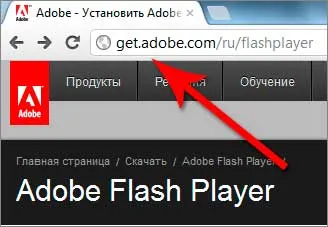 Cum se instalează flash player 1