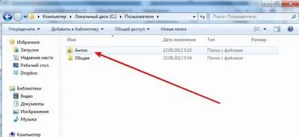 Cum se instalează Minecraft, maynkrafta instalare pe Win 7, Vista, XP (Vista) Cum se instalează Minecraft, maynkrafta instalare pe Win 7, Vista, XP