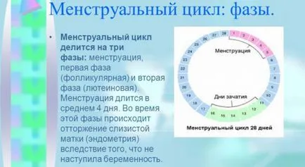Cum să accelereze lunar - apel înainte de timp pentru a merge mai repede, înainte de vacanță (prima) Cum să accelereze lunar - apel înainte de timp pentru a merge mai repede, înainte de vacanță