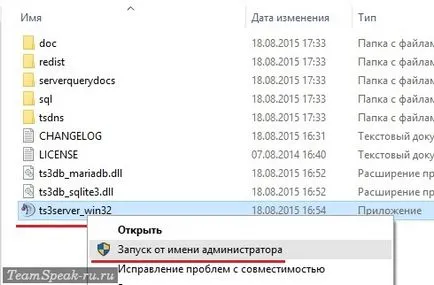 Cum se instalează TeamSpeak 3 în limba rusă