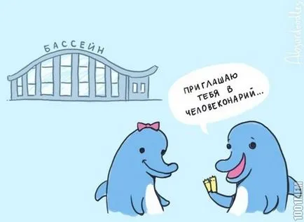 Cum să obțineți un loc de muncă în Delfinariul