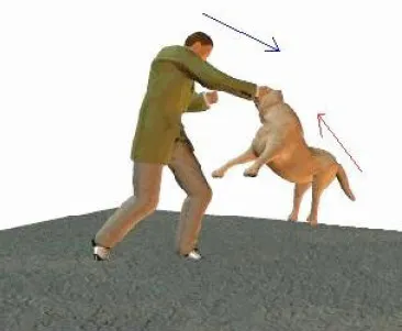 Cum să se comporte în timpul unui atac de câine (câine) Cum să se comporte în timpul unui atac de câine