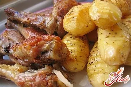 Cum de a alege aerogrill