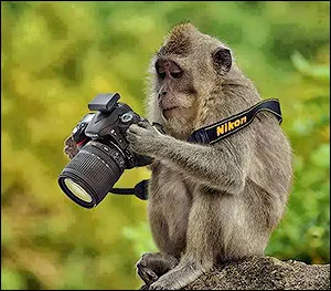 Cum de a alege camera SLR pentru incepatori, chestii