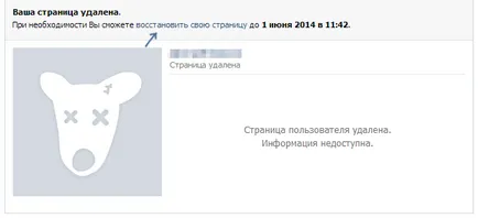 Cum de a recupera pagina VKontakte ștearsă anterior (pagina) Cum de a recupera pagina VKontakte ștearsă anterior