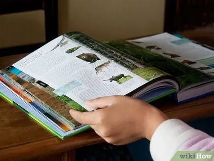 Cum să se pregătească bine pentru examen (bun) Cum să se pregătească bine pentru examen