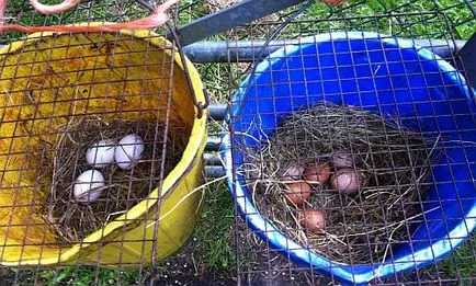 Cum să trăiască un sat englezesc