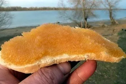 Ca ouă marinate știuca (reteta 3)