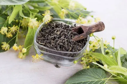 Prepararea cafelei flori de tei - rețete de frig (rețete) Brewing flori de tei - rețete de frig