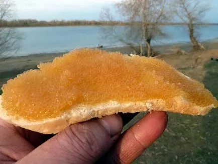 Cum se murarea caviar stiuca - știucă caviar la domiciliu (caviar stiuca la domiciliu) Cum se murarea caviar stiuca - pike caviar la domiciliu