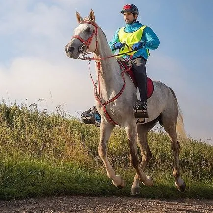 Ca moștenitorul tronului trăi EAU - știri în imagini