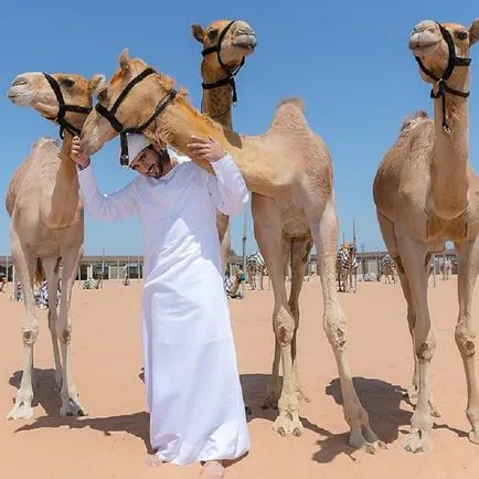 Cum să trăiască fabulos de bogat Prince Arabe Unite - infomania (vii) Cum să trăiască fabulos de bogat Prince Arabe Unite - infomania