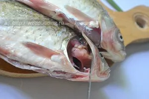 Caras prăjit într-o tigaie, cum să gătească la (crap) Caras prăjit într-o tigaie, cum să gătească pe