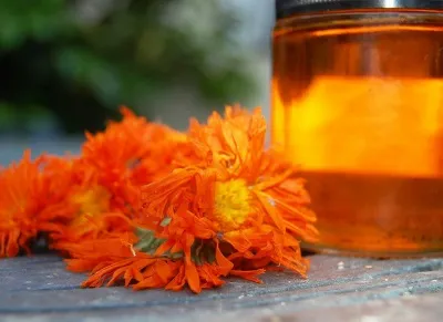 Calendula este proprietăți utile și medicinale, precum și utilizarea contra-gălbenele
