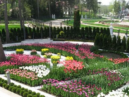 conac canal de design propriile lor mâini - un caz și punct (proiectare) conac canal de design propriile lor mâini - un caz și litera