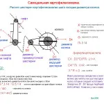 Planter pentru mâini motoblock - instrucțiuni video, desene